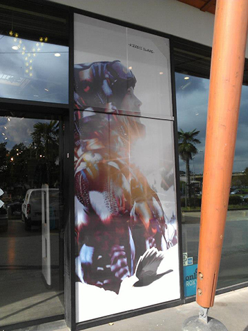 496803512 3532497946882635 5504244112954358868 n